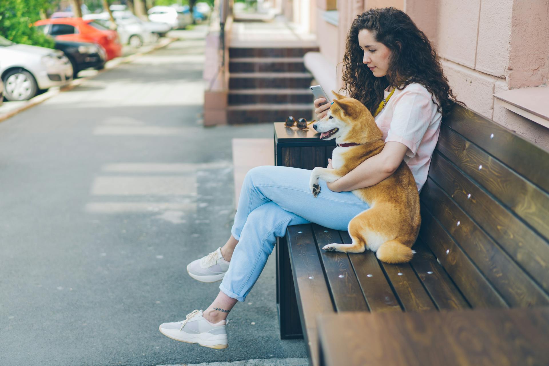 Pet Therapy for Mental Health | Carencia Mental Health